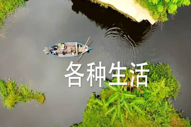 WFD videos now available in Chinese