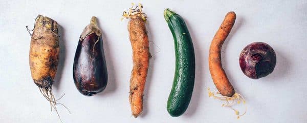 grandes-temas-02-mag04