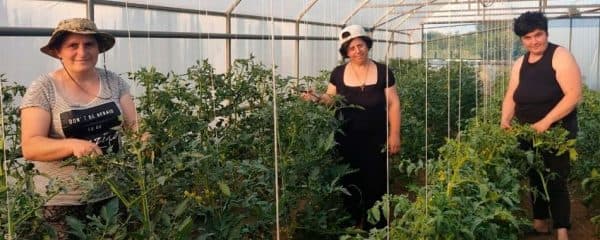 experiencias-01-mag06