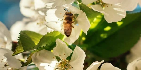 Photo by Sole D’Alessandro G_a (1)