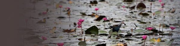 Portada-CEMASMagazine-15