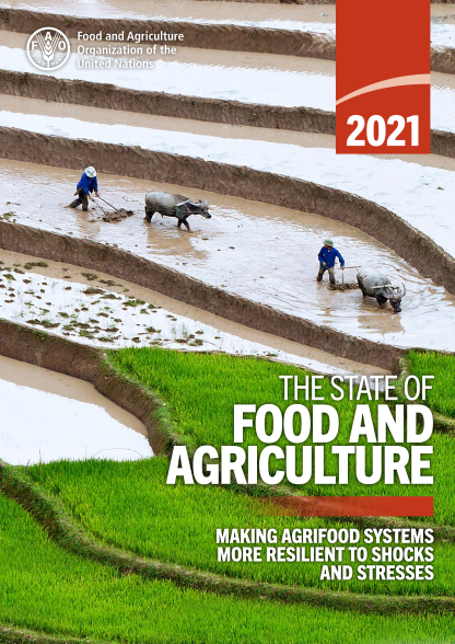 1- STATE OF FOOD AND AGRICULTURE 2021 (Personalizado)